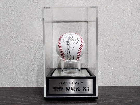 ���ē{�[���P�[�X