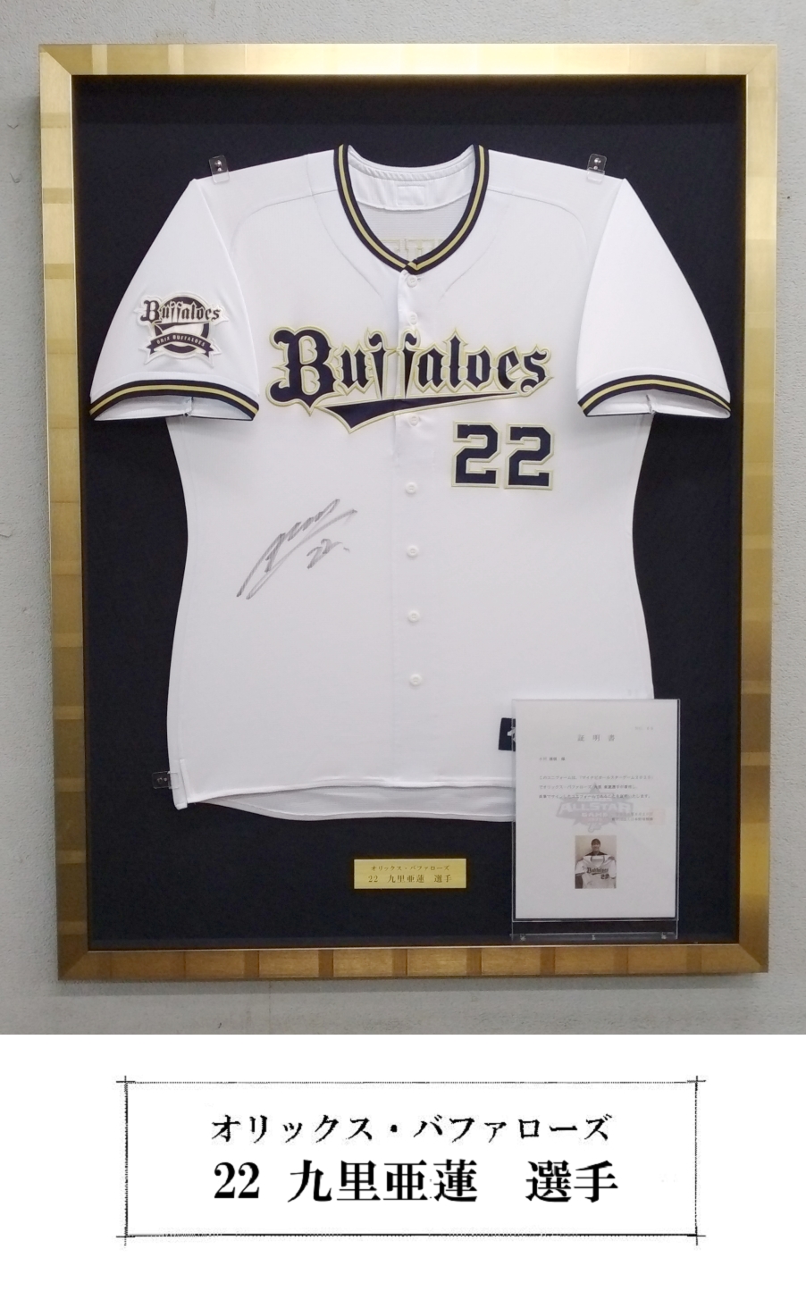 �㗢���A���j�t�H�[���z��