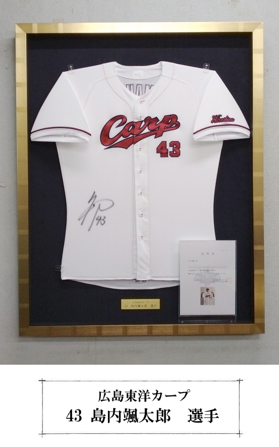 �����@�D���Y���j�t�H�[���z��